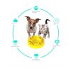 Dog Puzzle Training Game