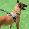 Dog Harness K9 pet