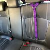 Dog Seat Belt Leash