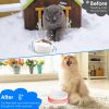 Pet Water Bowl Heated