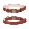 Leather dog collar