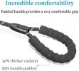 Double Dog Leash