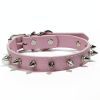 Studded Dog Collar