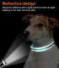 Reflective Collar