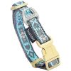 Embroidered Collar and Leash