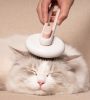 Pet Deshedder Comb