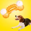 Aggressive Chewers Toy