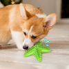 Dog Toothbrush Molar Toy