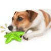 Dog Toothbrush Molar Toy