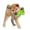Dog Toothbrush Molar Toy