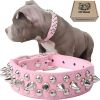 Spiked Studded Dog Collar