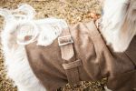 Wool Dog Coat