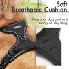 No-Pull Pet Harness