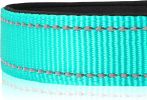 Reflective Collar