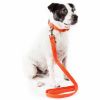 Dog Leash Collar Set Adjustable