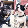 Spiked Studded Dog Collar