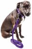 Dog Leash Collar Set Adjustable