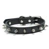 Studded Dog Collar