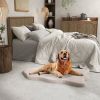 Dog Bed Orthopedic