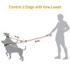 Double Dogs Leash