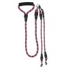 Double Dogs Leash