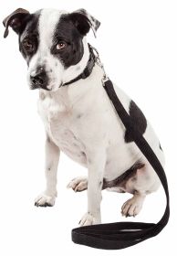 Dog Leash Collar Set Adjustable (Color: Black, size: large)