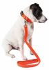 Dog Leash Collar Set Adjustable