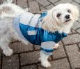 Pet Ski Jacket
