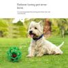 Hollow Ball Toy