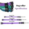 Traction Leash Set