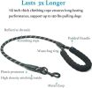 Double Dog Leash