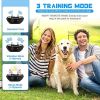 Dog Shock Collar