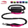 Hands Free Dog Leash