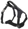 Reflective Dog Leash & Harness