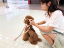 Leather Dog Leash
