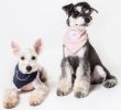 Velcro Dog Bandana and Scarf