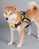 Free-Range Dog Harness