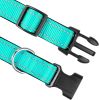 Reflective Collar