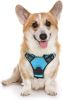 No-Pull Pet Harness