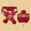 Dog Reindeer Antlers and Scarf Set