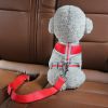 Pet Seat Belt Harness