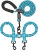 Double Dog Leash