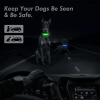 Rechargeable LED Dog Light Up Collar