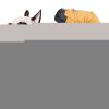 Waterproof Warm Dog Jacket