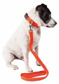 Dog Leash Collar Set Adjustable (Color: Orange, size: small)