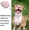 Spiked Studded Dog Collar