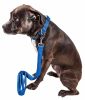 Dog Leash Collar Set Adjustable