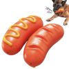 Squeaky Dog Toy