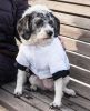 Dog Parka Coat