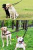 No Tangle Dog Double Leashes
